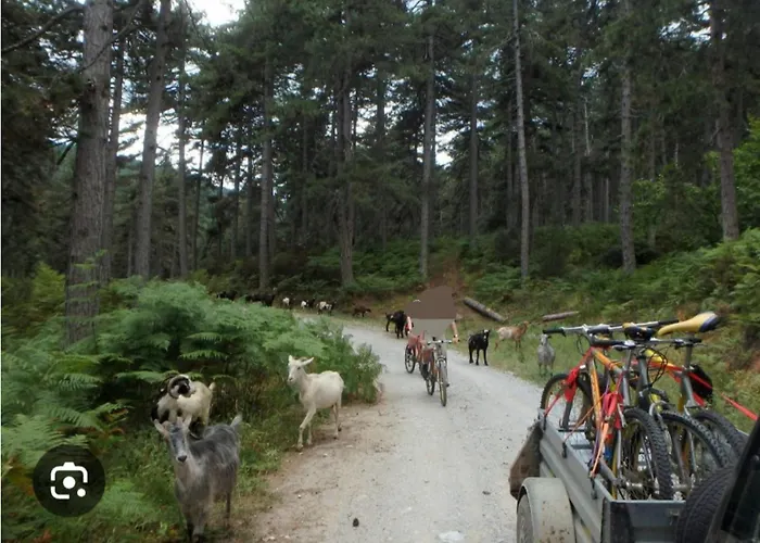 Case de vacanță Ria's Egani